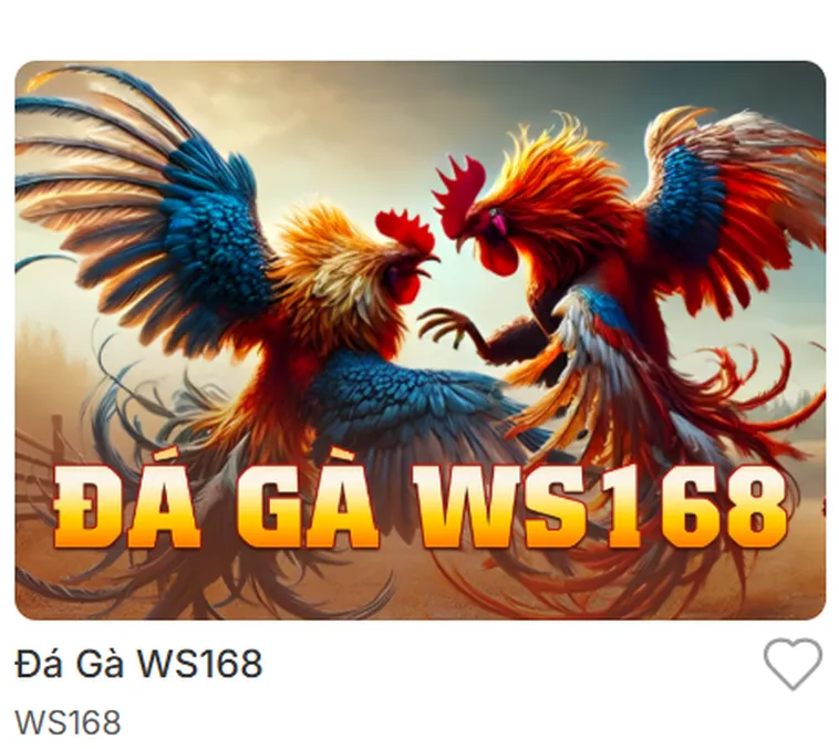 Đá Gà WS168 Tại Bin88 Sân Chơi Cá Cược Đỉnh Cao Của Những Chiến Kê